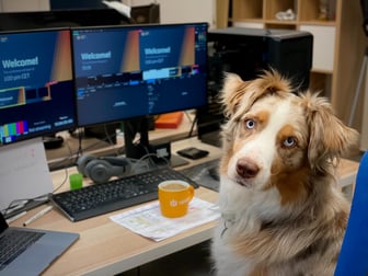 Bad boy! If using a pet's name in a password